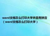 word文档怎么打印大字并且有拼音（word文档怎么打印大字）