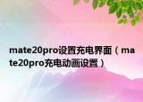 mate20pro设置充电界面（mate20pro充电动画设置）