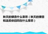 秋天的银杏什么意思（秋天的银杏和温柔依旧同在什么意思）