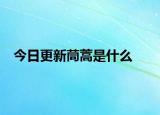 今日更新茼蒿是什么