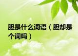 胆是什么词语（胆却是个词吗）
