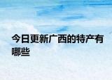 今日更新广西的特产有哪些