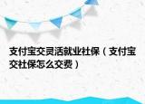 支付宝交灵活就业社保（支付宝交社保怎么交费）