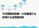 今日更新蛇的第一大克星是什么 还有什么动物能克蛇