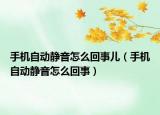手机自动静音怎么回事儿（手机自动静音怎么回事）