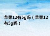 苹果12有5g吗（苹果12有5g吗）
