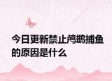 今日更新禁止鸬鹚捕鱼的原因是什么
