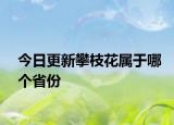 今日更新攀枝花属于哪个省份