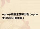 oppo手机像素在哪里看（oppo手机像素在哪里看）