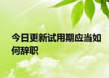 今日更新试用期应当如何辞职
