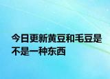 今日更新黄豆和毛豆是不是一种东西