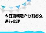 今日更新遗产分割怎么进行处理