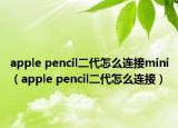 apple pencil二代怎么连接mini（apple pencil二代怎么连接）