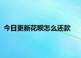 今日更新花呗怎么还款