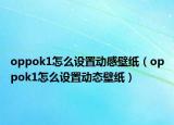 oppok1怎么设置动感壁纸（oppok1怎么设置动态壁纸）