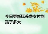 今日更新抚养费支付到孩子多大