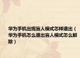 华为手机出现盲人模式怎样退出（华为手机怎么退出盲人模式怎么解除）