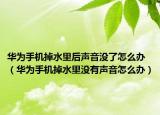 华为手机掉水里后声音没了怎么办（华为手机掉水里没有声音怎么办）