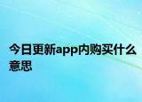 今日更新app内购买什么意思