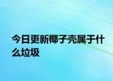 今日更新椰子壳属于什么垃圾