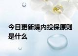 今日更新境内投保原则是什么