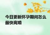 今日更新怀孕期间怎么最快离婚