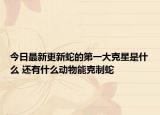 今日最新更新蛇的第一大克星是什么 还有什么动物能克制蛇