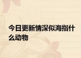 今日更新情深似海指什么动物