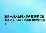 空山不见人但闻人语声的意思（空山不见人 但闻人语声什么修辞手法）