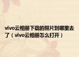 vivo云相册下载的照片到哪里去了（vivo云相册怎么打开）