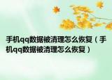 手机qq数据被清理怎么恢复（手机qq数据被清理怎么恢复）