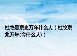 杜牧是京兆万年什么人（杜牧京兆万年(今什么人)）