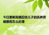 今日更新离婚后给儿子的抚养费被挪用怎么处理