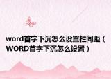 word首字下沉怎么设置栏间距（WORD首字下沉怎么设置）