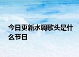 今日更新水调歌头是什么节日