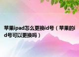 苹果ipad怎么更换id号（苹果的id号可以更换吗）