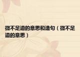 微不足道的意思和造句（微不足道的意思）