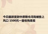 今日最新更新中原粮仓河南被推上风口 1500元一亩收购青麦