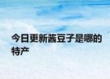 今日更新酱豆子是哪的特产