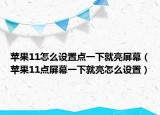 苹果11怎么设置点一下就亮屏幕（苹果11点屏幕一下就亮怎么设置）