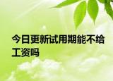今日更新试用期能不给工资吗