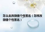 怎么去改微信个性签名（怎样改微信个性签名）