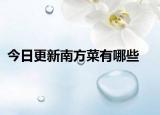 今日更新南方菜有哪些