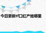 今日更新tf口红产地哪里