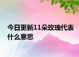 今日更新11朵玫瑰代表什么意思