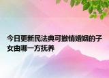 今日更新民法典可撤销婚姻的子女由哪一方抚养