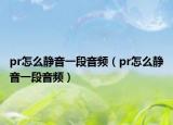 pr怎么静音一段音频（pr怎么静音一段音频）