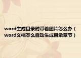 word生成目录时带着图片怎么办（word文档怎么自动生成目录章节）