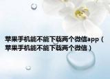 苹果手机能不能下载两个微信app（苹果手机能不能下载两个微信）