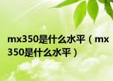 mx350是什么水平（mx350是什么水平）